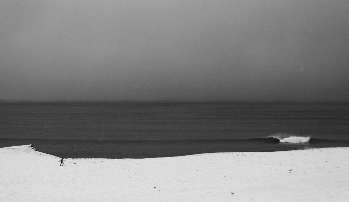 Photo: <a href=\"https://www.ellithor.com/\">Elli Magnusson</a>