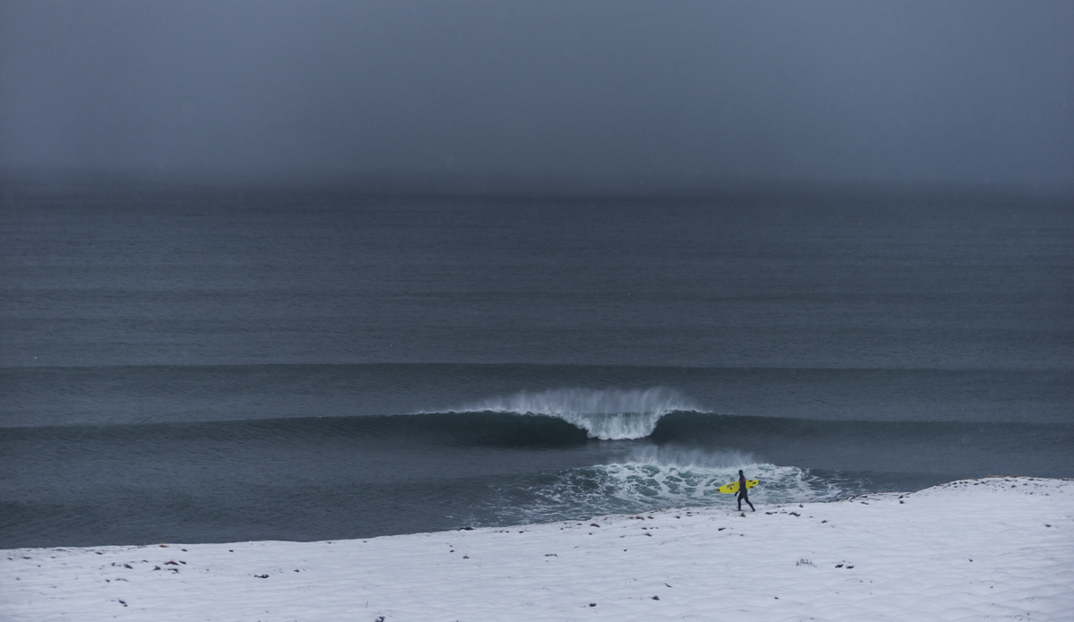 Photo: <a href=\"https://www.ellithor.com/\">Elli Magnusson</a>