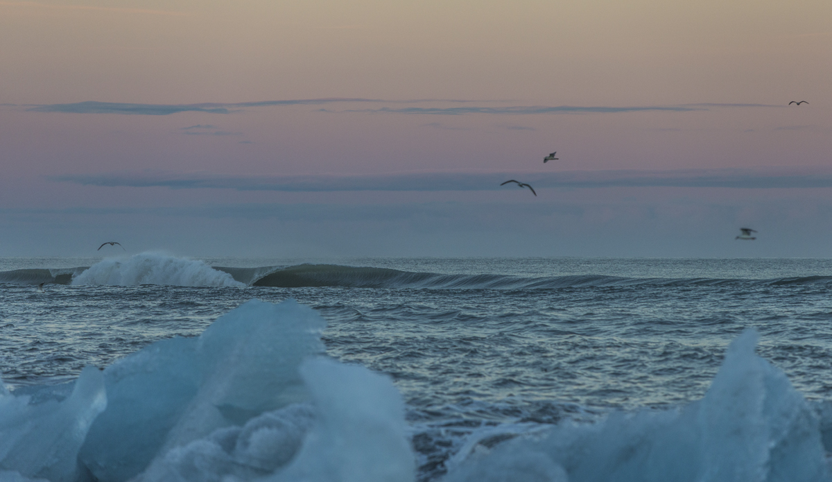 Photo: <a href=\"https://www.ellithor.com/\">Elli Magnusson</a>