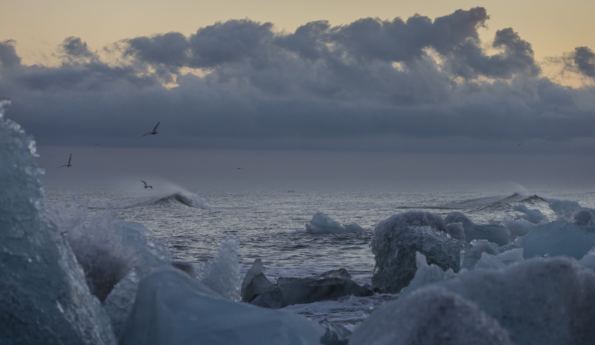 Photo: <a href=\"https://www.ellithor.com/\">Elli Magnusson</a>