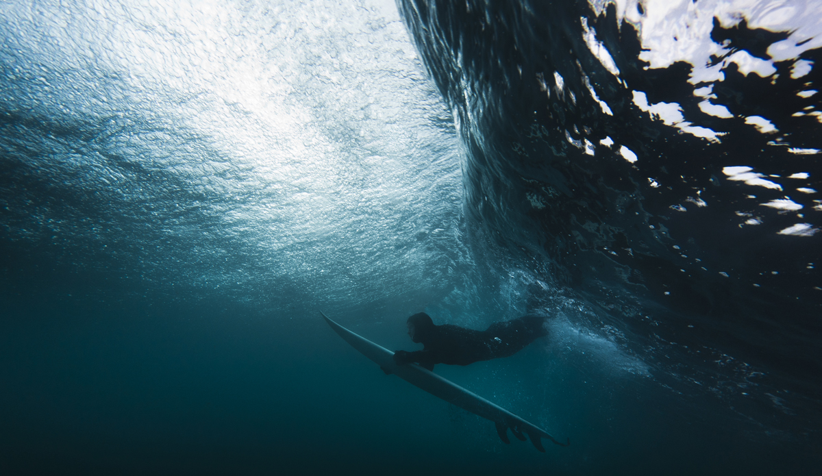 Photo: <a href=\"https://www.ellithor.com/\">Elli Magnusson</a>