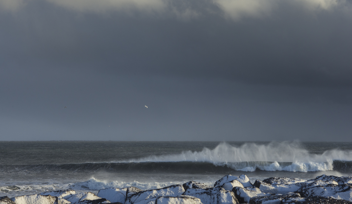 Photo: <a href=\"https://www.ellithor.com/\">Elli Magnusson</a>