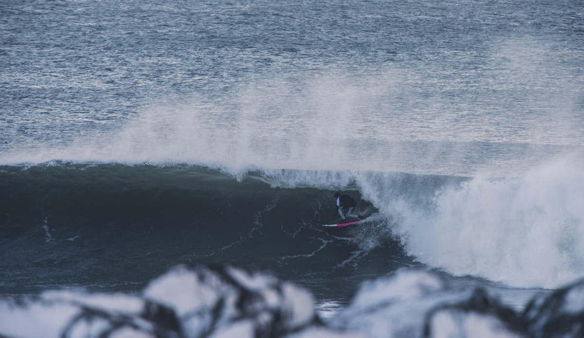 Photo: <a href=\"https://www.ellithor.com/\">Elli Magnusson</a>