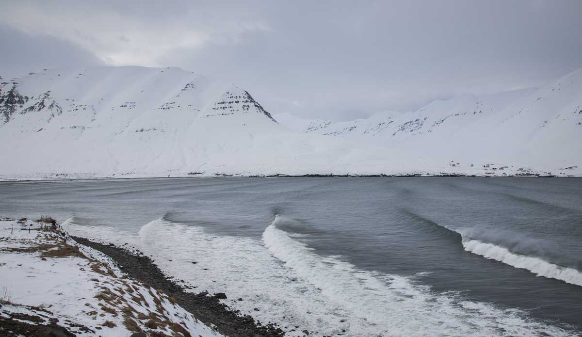 Photo: <a href=\"https://www.ellithor.com/\">Elli Magnusson</a>