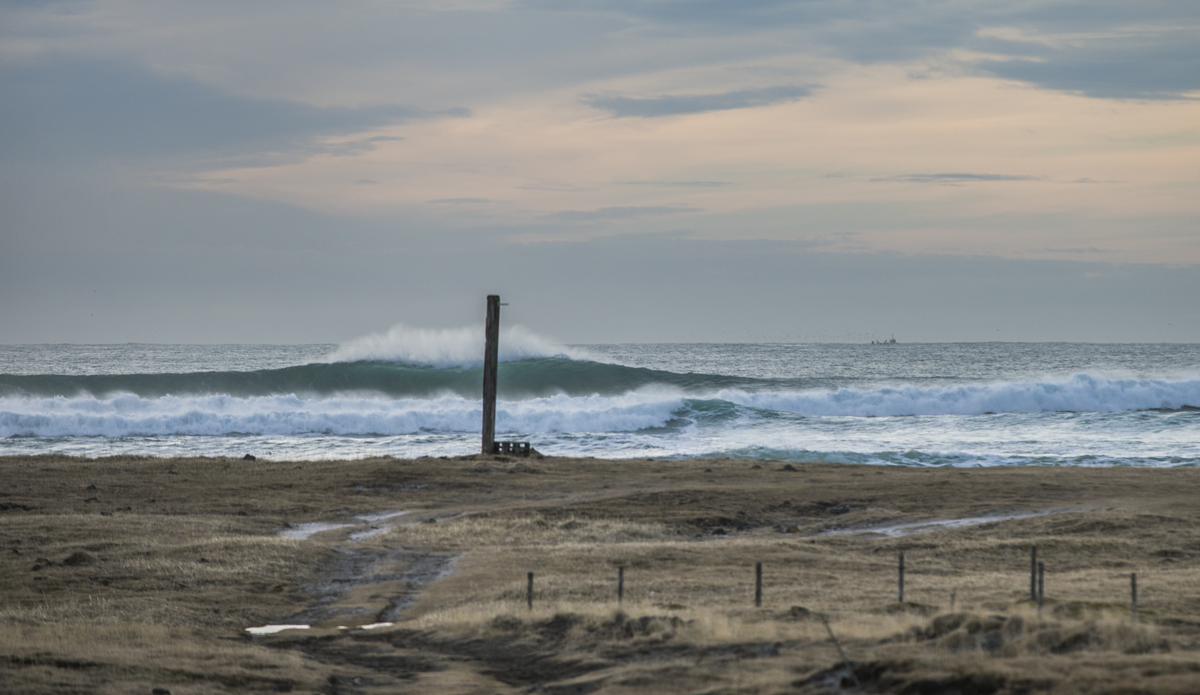 Photo: <a href=\"https://www.ellithor.com/\">Elli Magnusson</a>