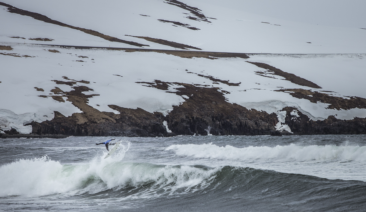 Photo: <a href=\"https://www.ellithor.com/\">Elli Magnusson</a>