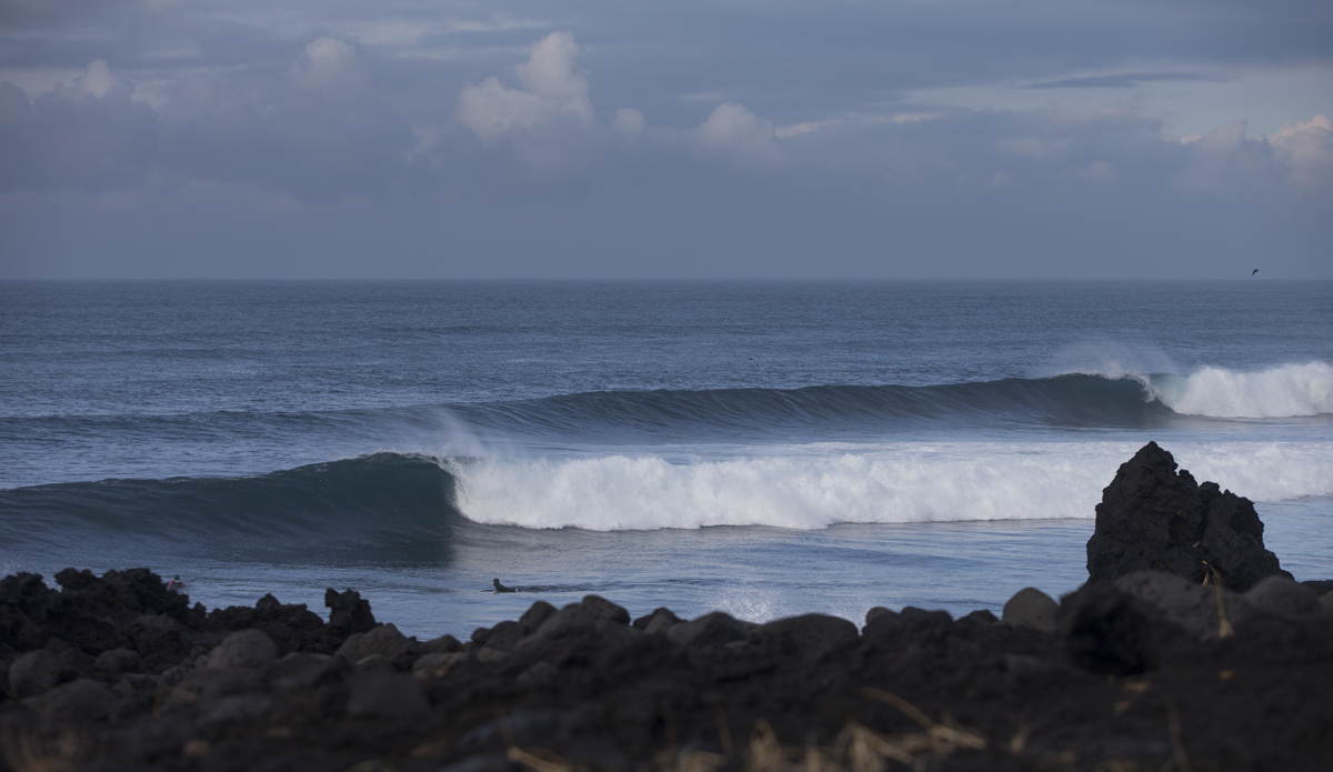 Photo: <a href=\"https://www.ellithor.com/\">Elli Magnusson</a>