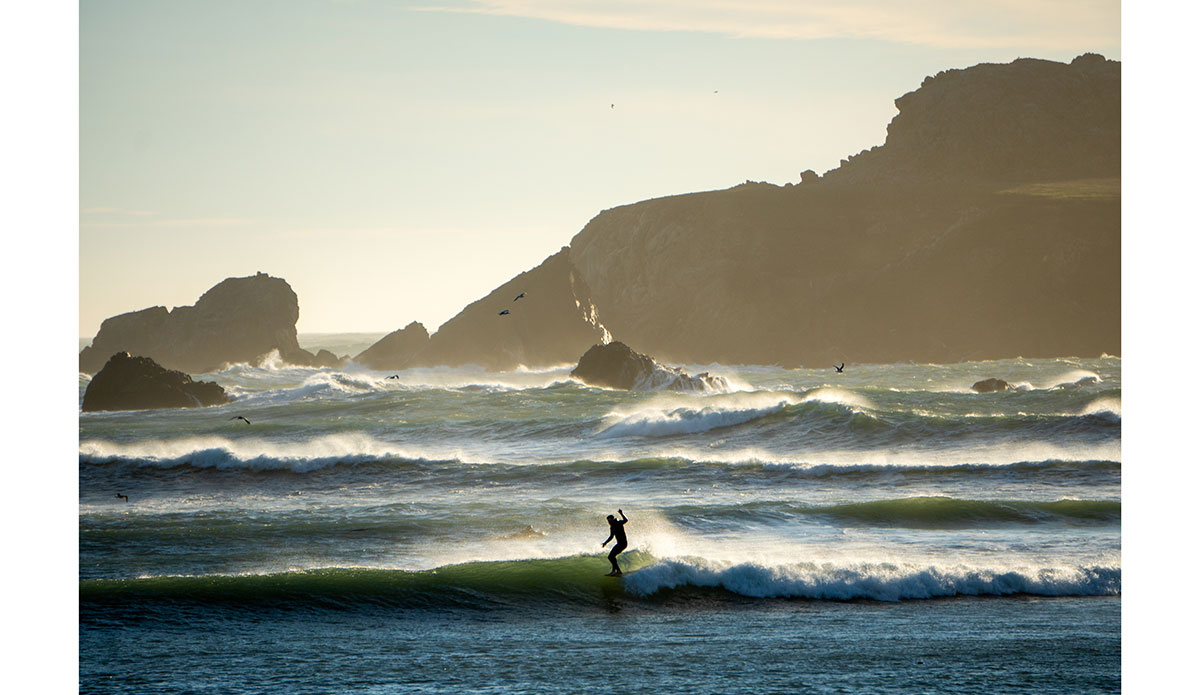 Northern Novelties, by <a href=\"https://www.instagram.com/blake_shooots/\" target=\"_blank\" rel=\"noopener\">@blake_shooots</a>