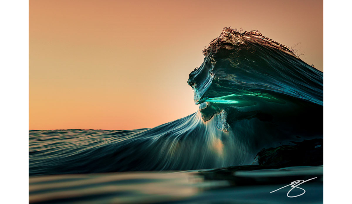 Panthera, by <a href=\"https://www.instagram.com/beaujessejohnston/\" target=\"_blank\" rel=\"noopener\">@beaujessejohnson</a>