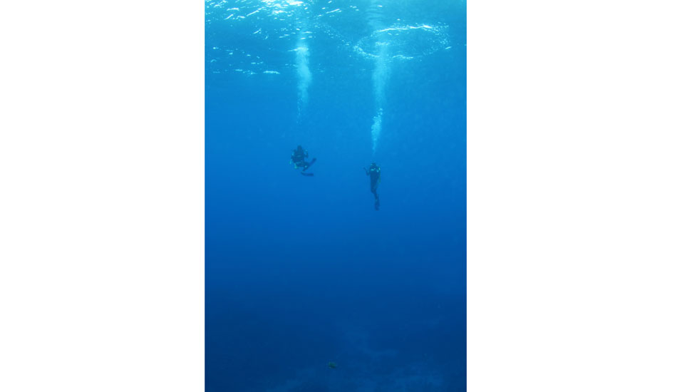 Acend. Photo:<a href=\"https://brentalex.com/\">Brent Alex</a>