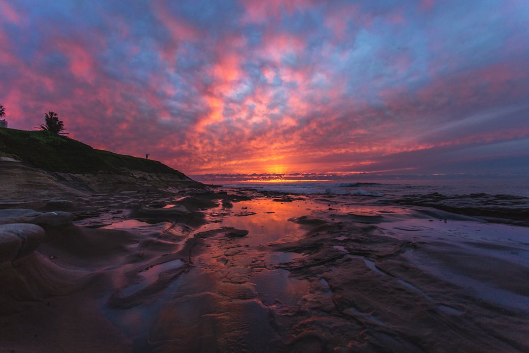 Photo: <a href=\"https://www.ericrubensphotography.com/\">Eric Rubens</a>