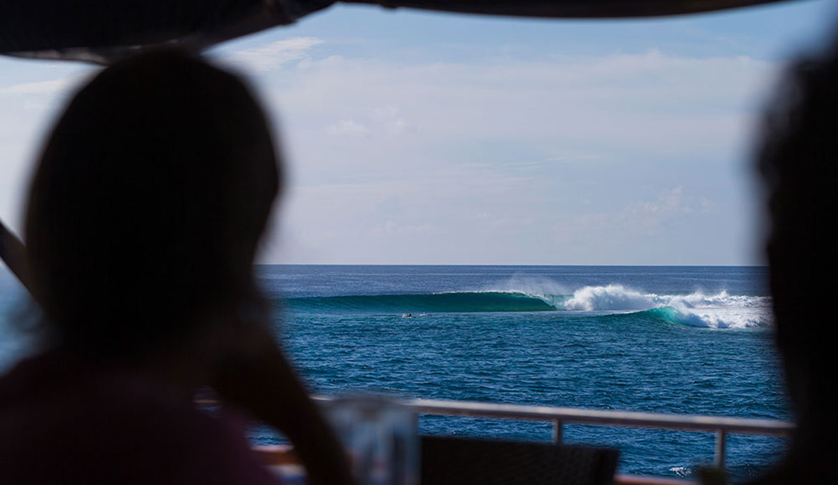 Photo: <a href=\"https://Saltmotion.com/\"> Joel Coleman/Saltmotion</a>