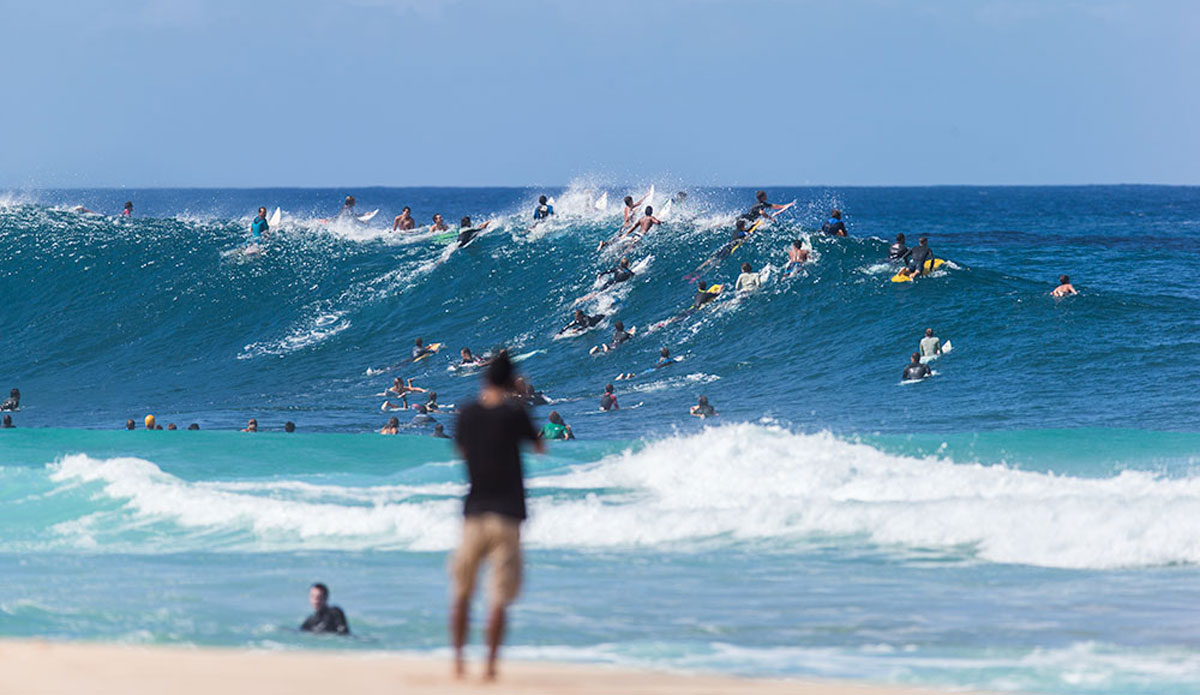 Photo: <a href=\"https://Saltmotion.com/\"> Joel Coleman/Saltmotion</a>