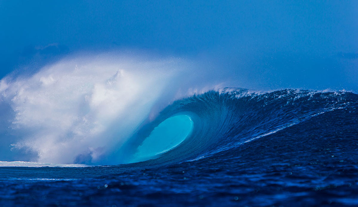 Photo: <a href=\"https://Saltmotion.com/\"> Joel Coleman/Saltmotion</a>