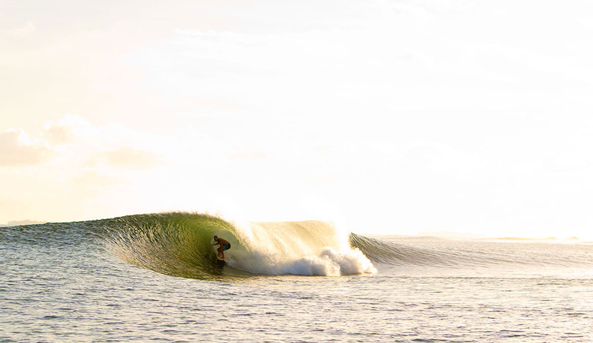 Photo: <a href=\"https://Saltmotion.com/\"> Joel Coleman/Saltmotion</a>