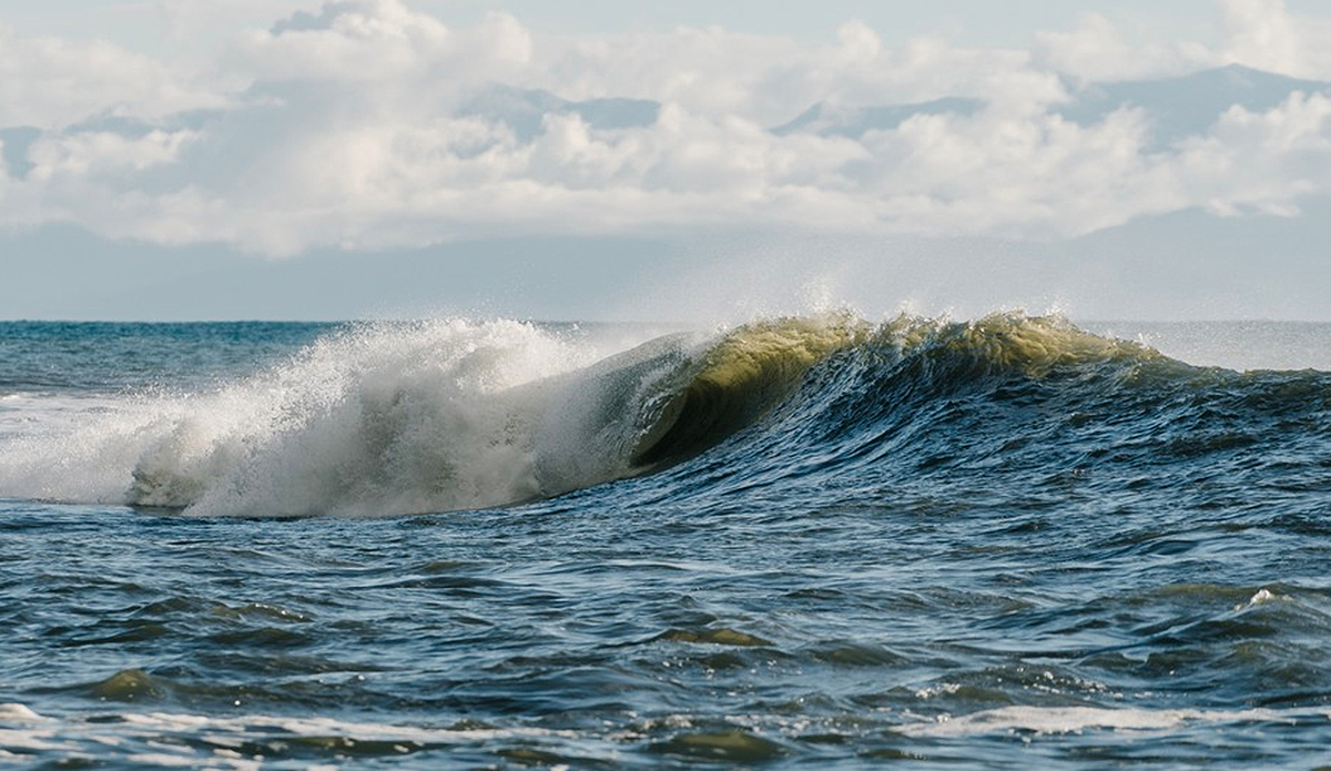 Mini barrels. Photo: Ian Duncan