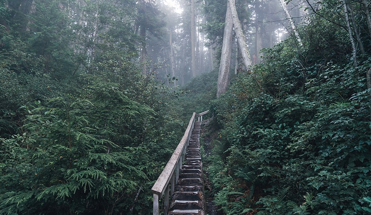 Stairway to heaven. Photo: Ian Duncan