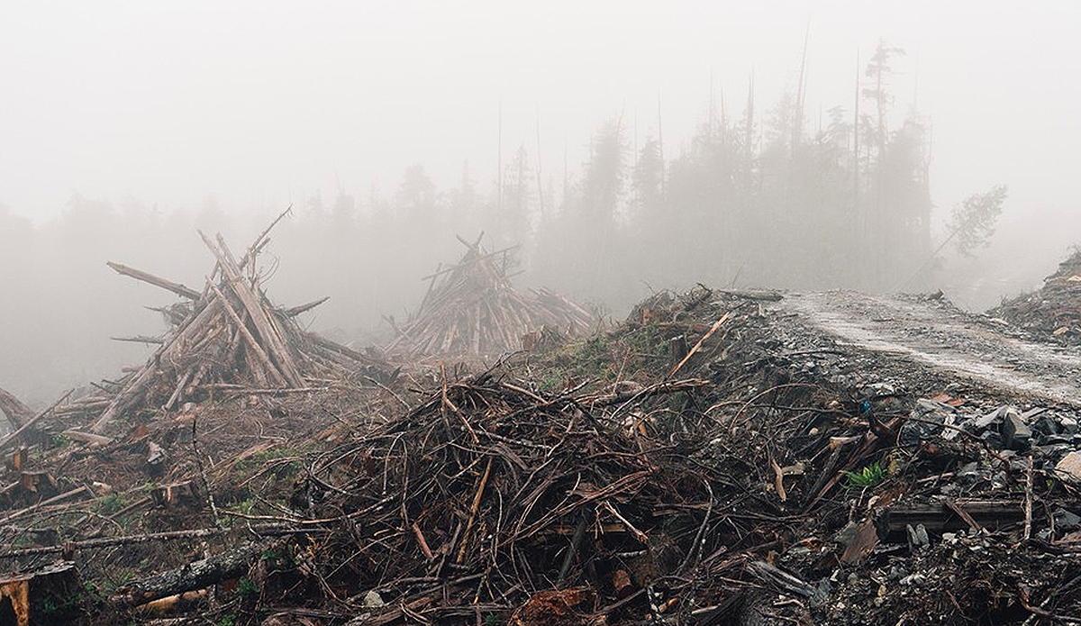 Coastal graveyard. Photo: Ian Duncan