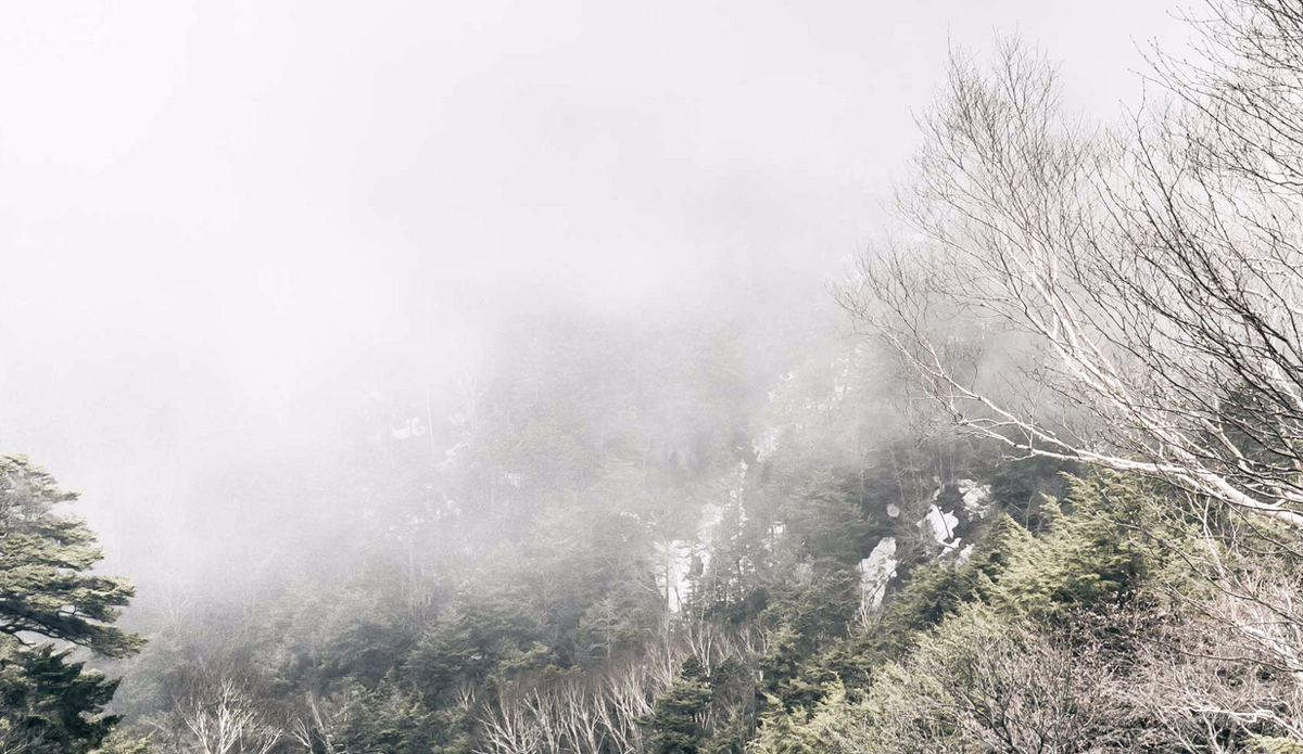 Photo: <a href=\"https://instagram.com/leebasford/\">Lee Basford</a>