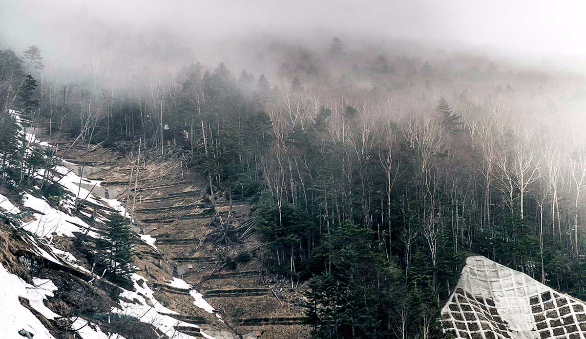 Photo: <a href=\"https://instagram.com/leebasford/\">Lee Basford</a>