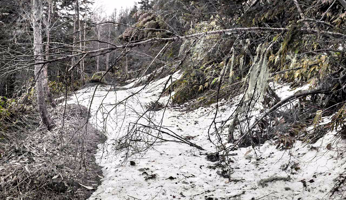 Photo: <a href=\"https://instagram.com/leebasford/\">Lee Basford</a>