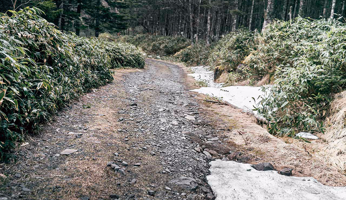 Photo: <a href=\"https://instagram.com/leebasford/\">Lee Basford</a>