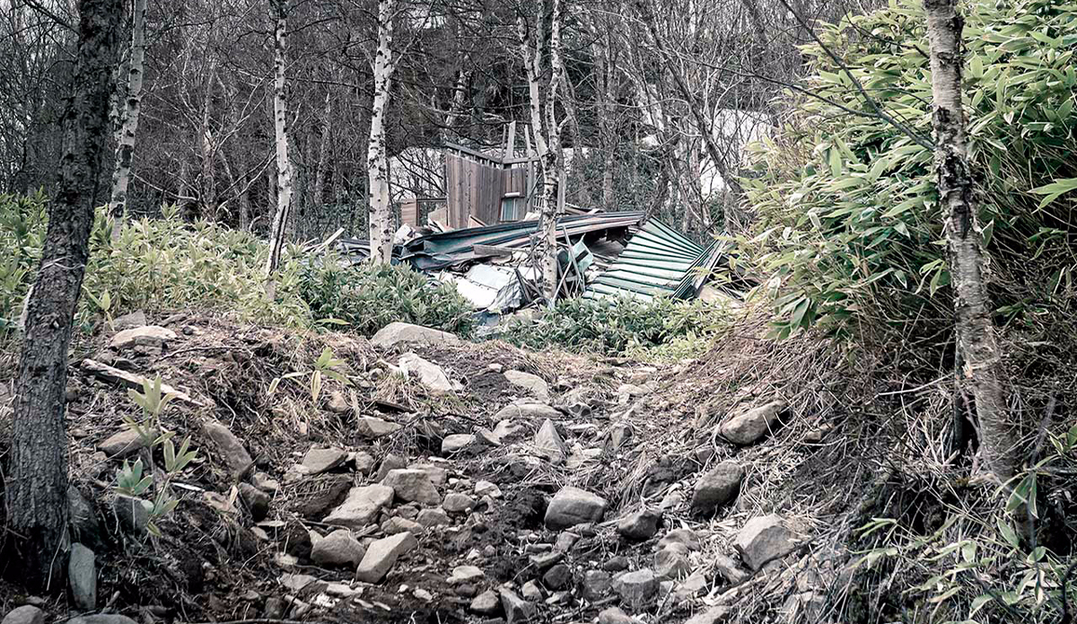 Photo: <a href=\"https://instagram.com/leebasford/\">Lee Basford</a>