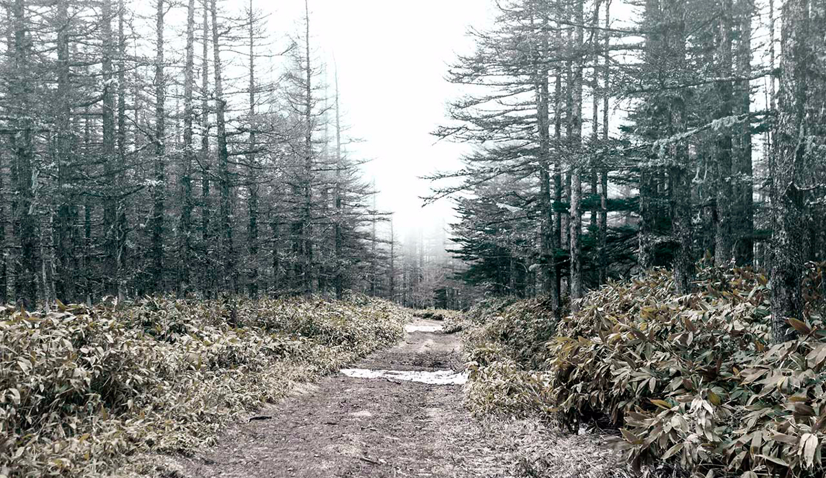 Photo: <a href=\"https://instagram.com/leebasford/\">Lee Basford</a>