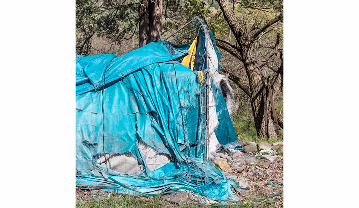 Photo: <a href=\"https://instagram.com/leebasford/\">Lee Basford</a>