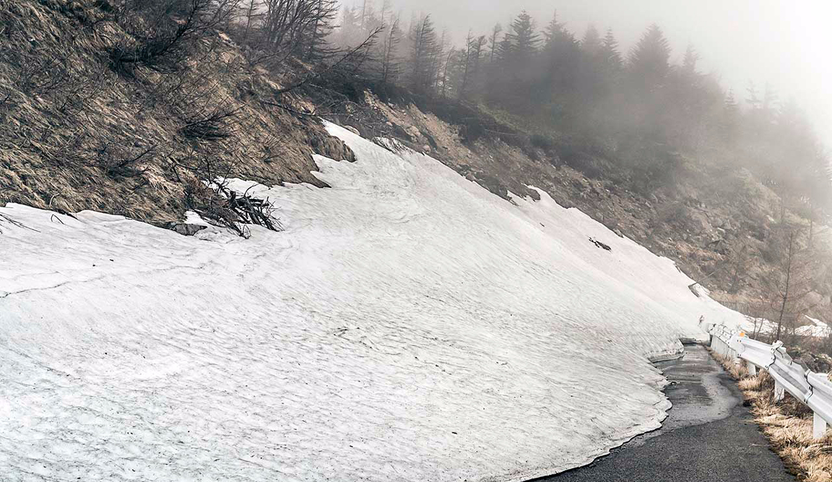 Photo: <a href=\"https://instagram.com/leebasford/\">Lee Basford</a>