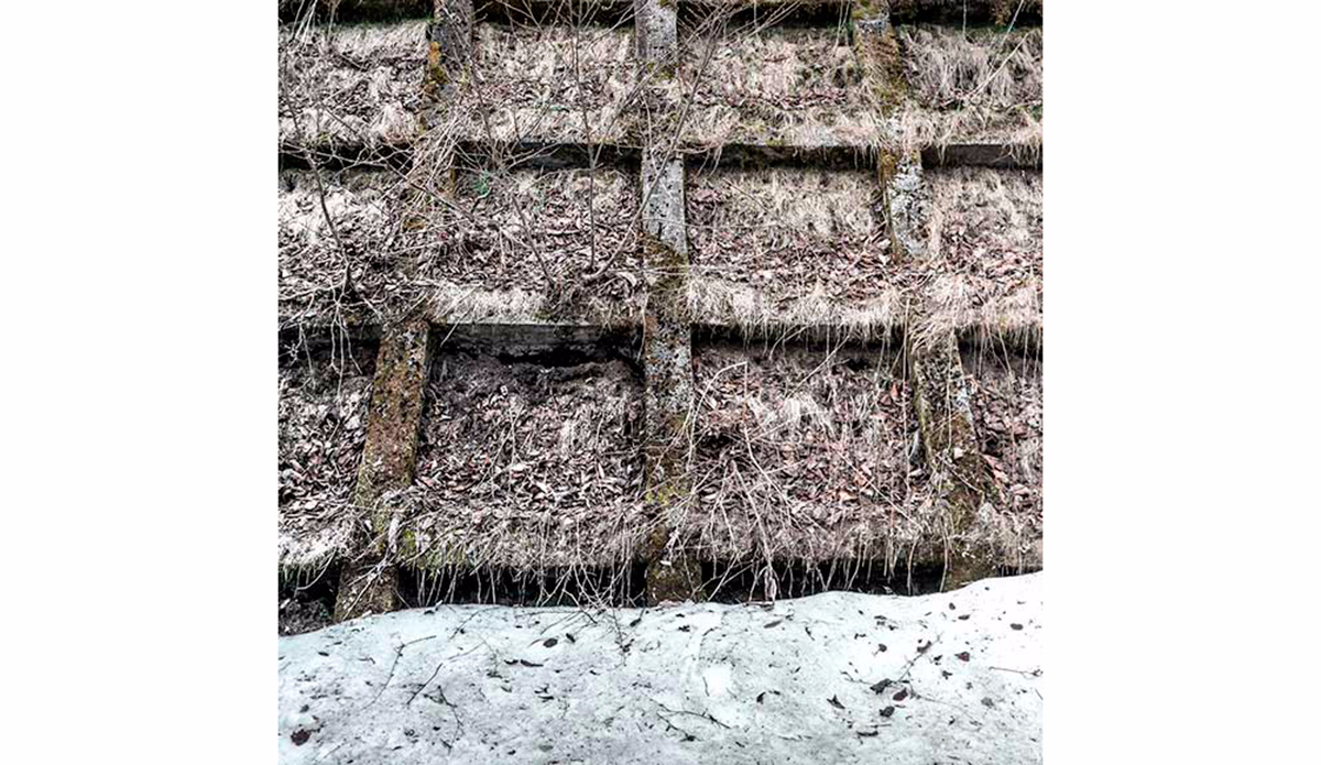 Photo: <a href=\"https://instagram.com/leebasford/\">Lee Basford</a>