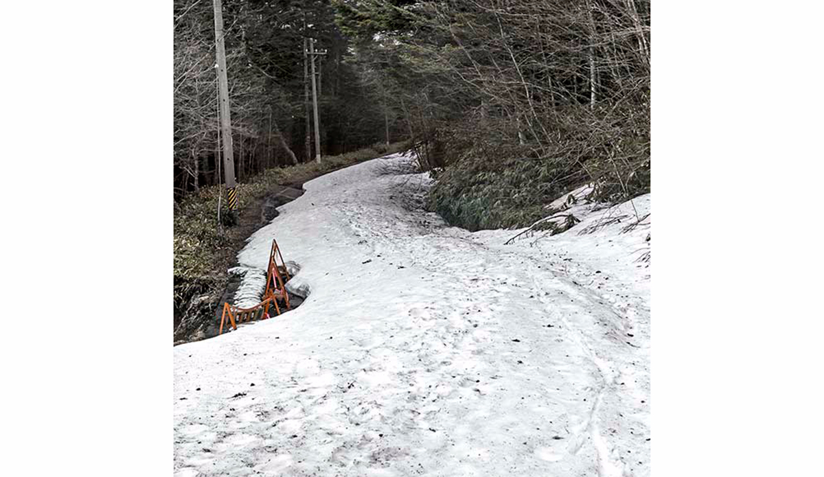 Photo: <a href=\"https://instagram.com/leebasford/\">Lee Basford</a>