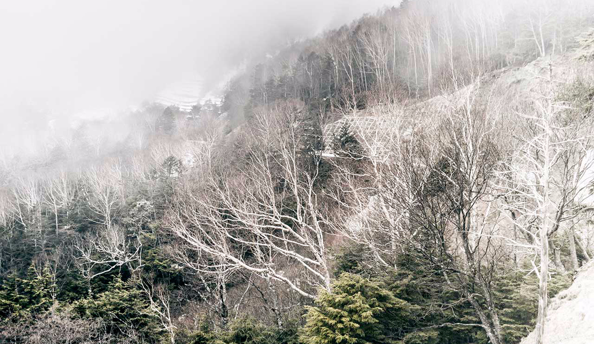 Photo: <a href=\"https://instagram.com/leebasford/\">Lee Basford</a>