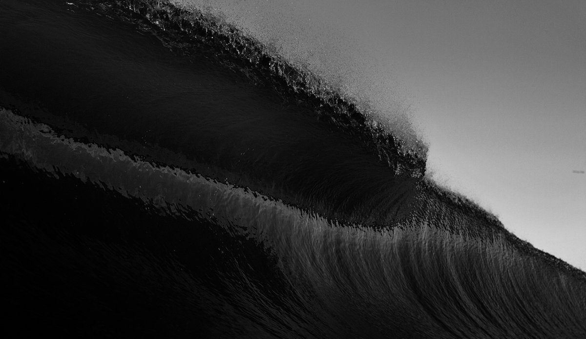 Up close and personal with a beauty. Photo: <a href=\"https://www.davenilsenphotography.com\">DavidNilsenPhotography.com</a>