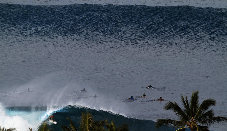 Bird with a camera. Photo: <a href=\"https://www.stephanelacasaphotography.com\">Stephane Lacasa</a>