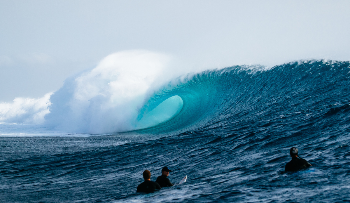 Photo: Aaron Hughes / WSL 
