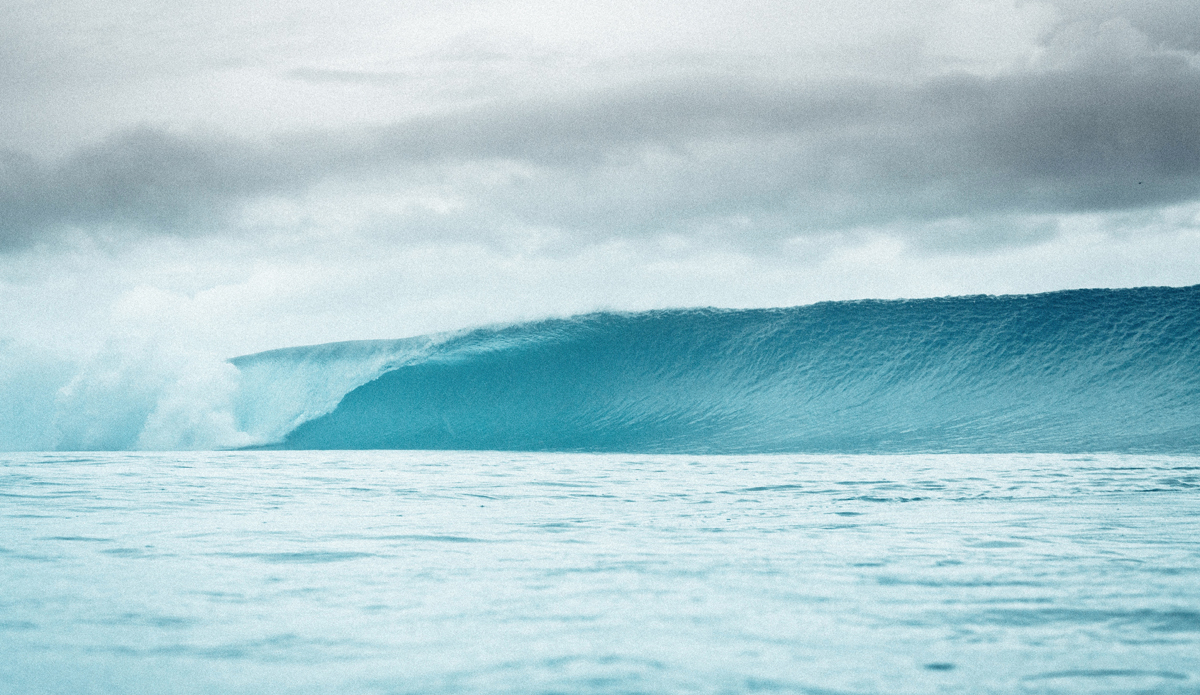 Photo: Hayden O\'Neill
