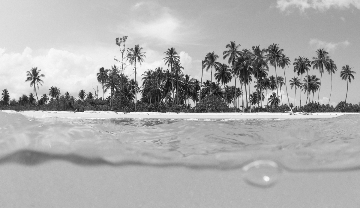 Photo: Hayden O\'Neill