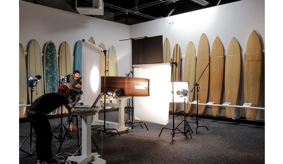 Photo: <a href=\"https://www.thefinproject.com/\">Tim Hogan</a>