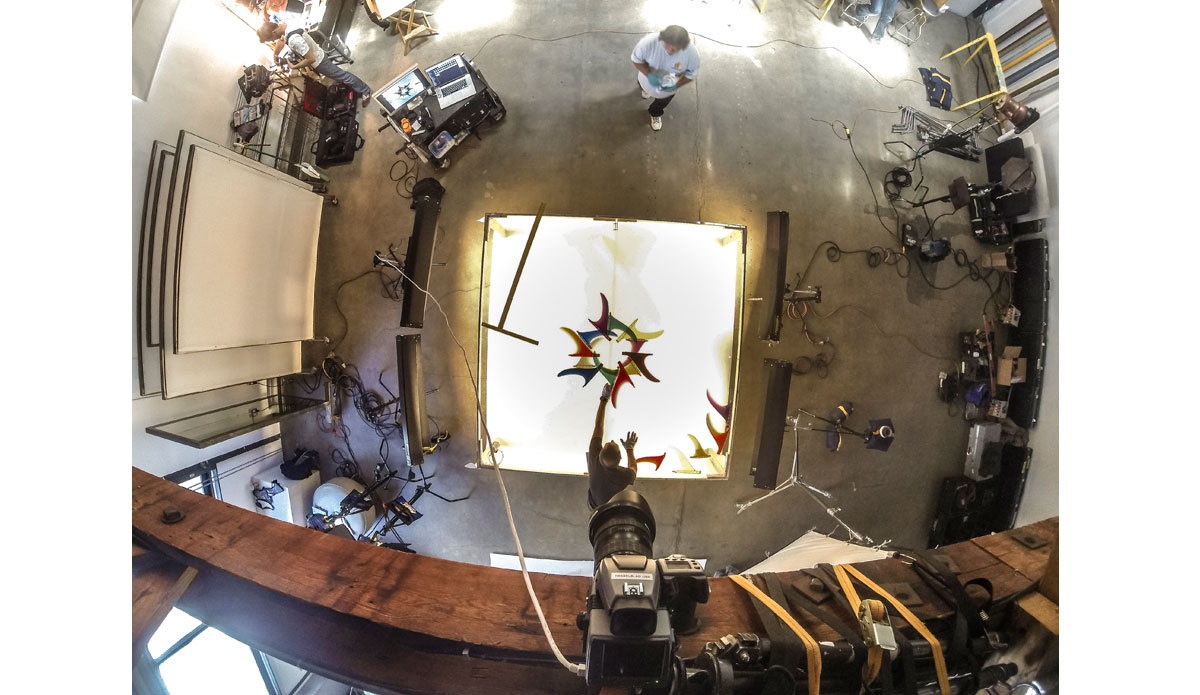 Photo: <a href=\"https://www.thefinproject.com/\">Tim Hogan</a>