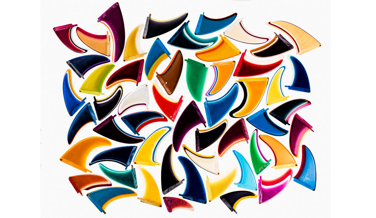 Photo: <a href=\"https://www.thefinproject.com/\">Tim Hogan</a>