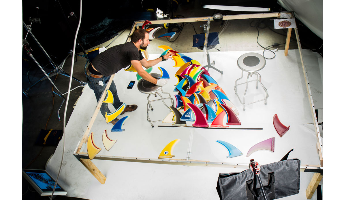 Photo: <a href=\"https://www.thefinproject.com/\">Tim Hogan</a>