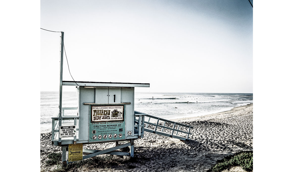 Photo: <a href=\"https://www.thefinproject.com/\">Tim Hogan</a>