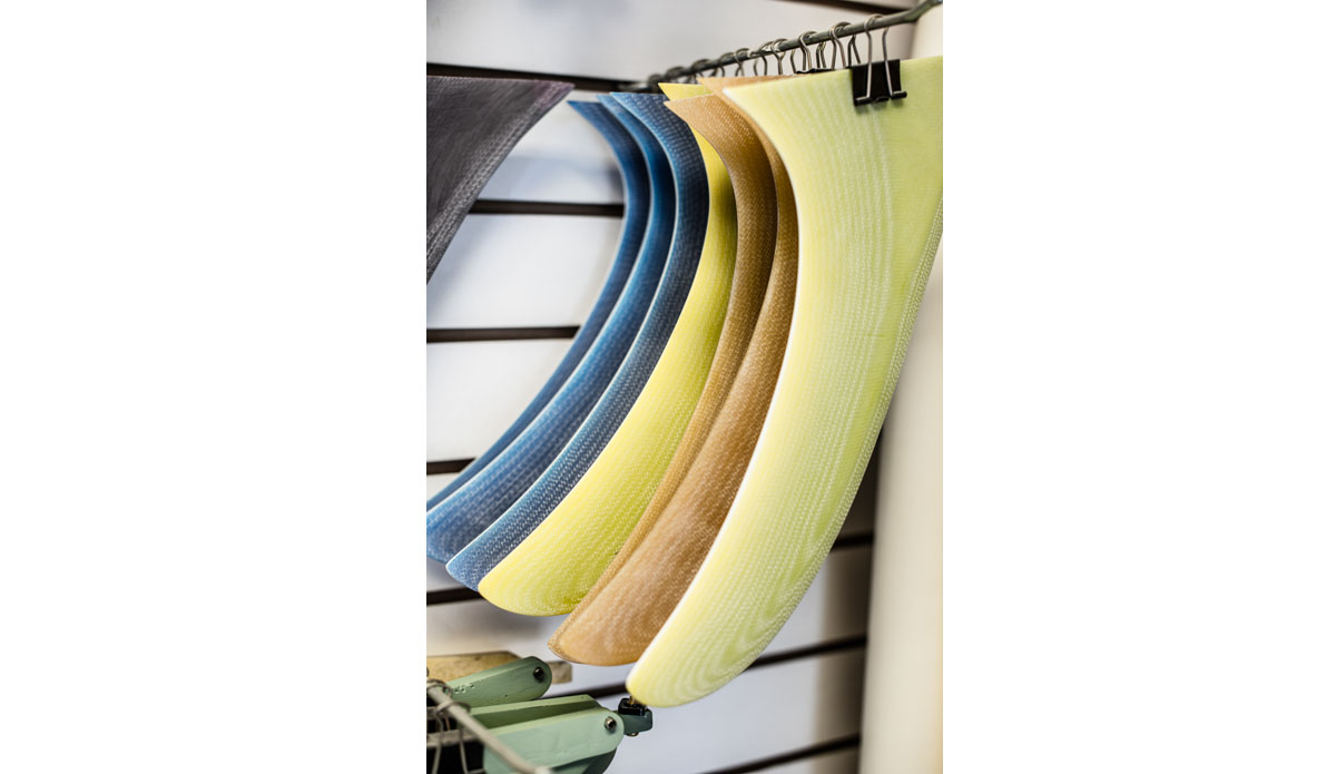 Photo: <a href=\"https://www.thefinproject.com/\">Tim Hogan</a>