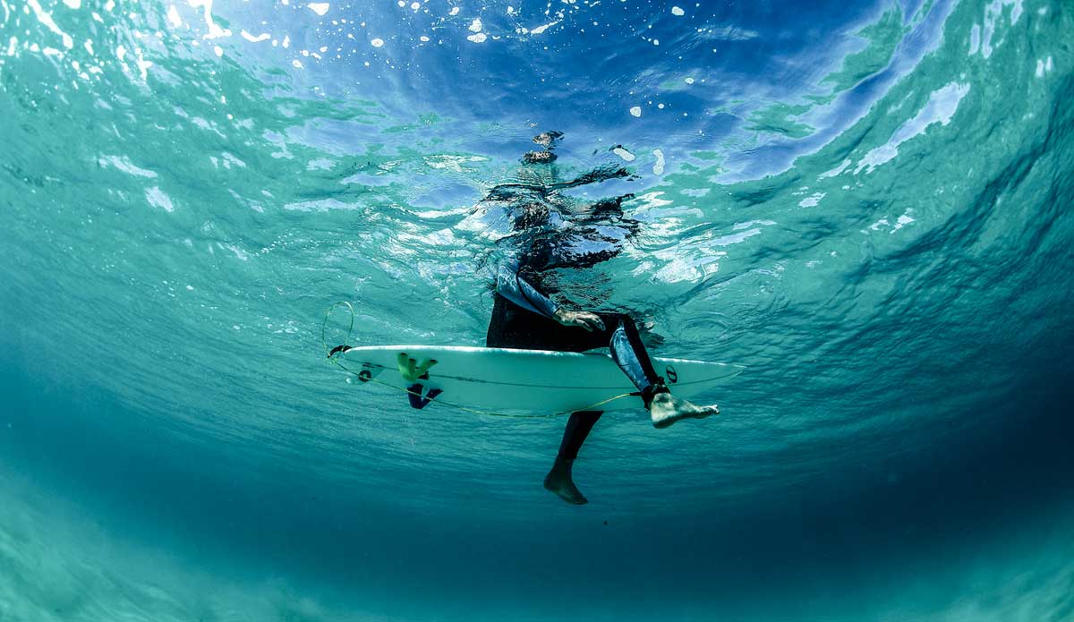 Photo: <a href=\"https://www.thefinproject.com/\">Tim Hogan</a>