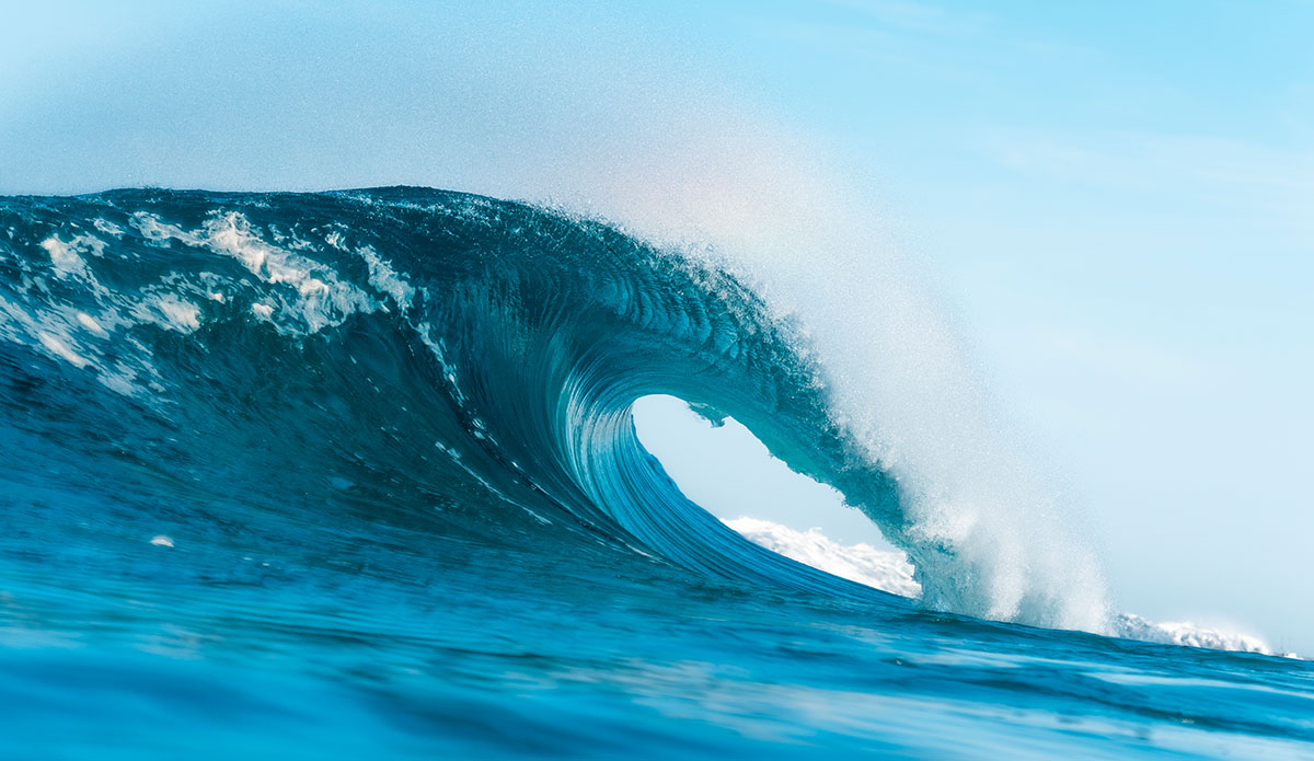 You could fit a few humans in this one. Photo: Sean Evans