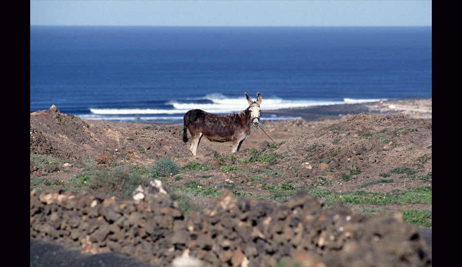November 1990 - In September of this year I left on a bit of a walkabout through the Spanish Basque Country Canary Islands. I\'d met Aussies Murray \"Muzz\" Paterson, along with his mate Nanga, in the Basque Country and joined them as they left for the islands in early November. I believe this was one of the first good sessions we had upon arrival, and I quite liked this lineup image when I finally saw it on my lightbox nearly a year later after my return to NYC. Image: <a href=\"https://stevefitzpatrick.com/\" target=\"_blank\">Fitzpatrick</a>  