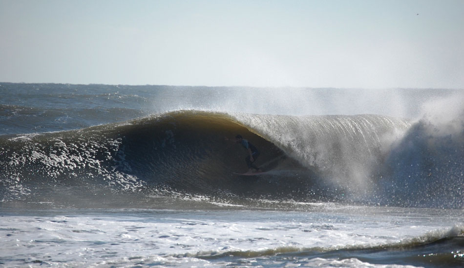 Unknown, enjoying the best of a franken-storm. Photo: Chris Steffen