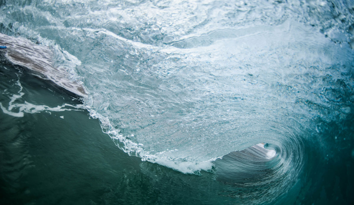 Photo: <a href=\"https://www.facebook.com/pages/Flynn-Ironmonger-Photography/203201859827539\"> Flynn Ironmonger</a>