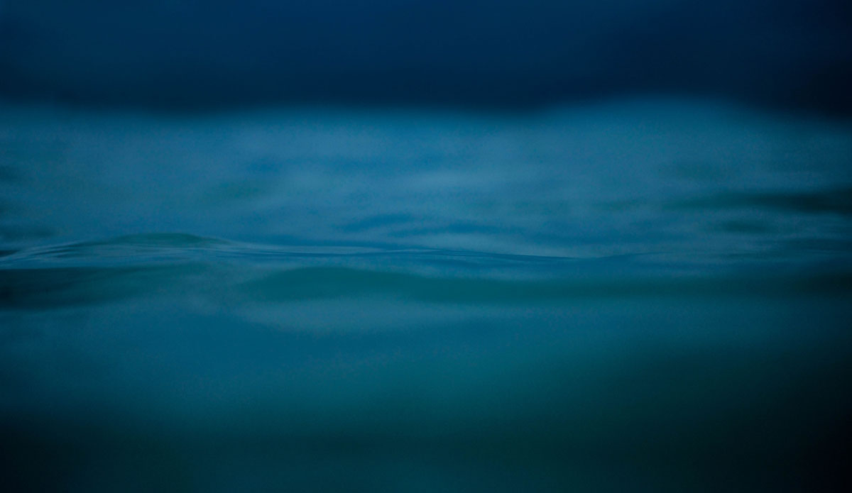 Photo: <a href=\"https://www.facebook.com/pages/Flynn-Ironmonger-Photography/203201859827539\"> Flynn Ironmonger</a>